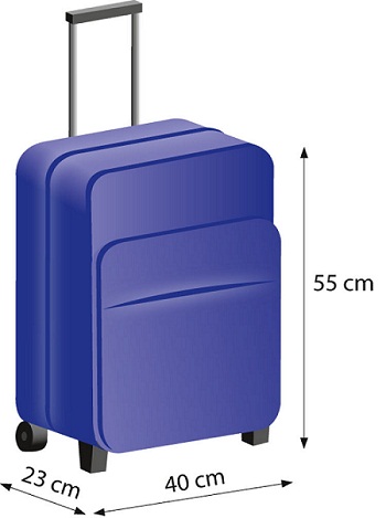 ▷ LOT Airlines equipaje de -