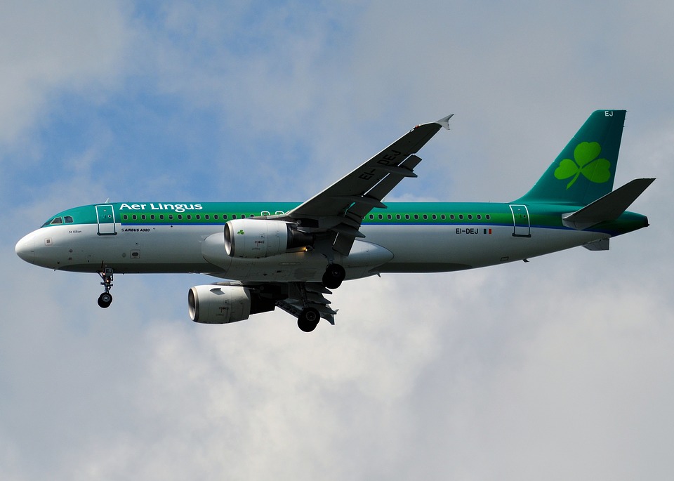 ▷ Aer Lingus de mano, La mejor guía [2019] - Odizea